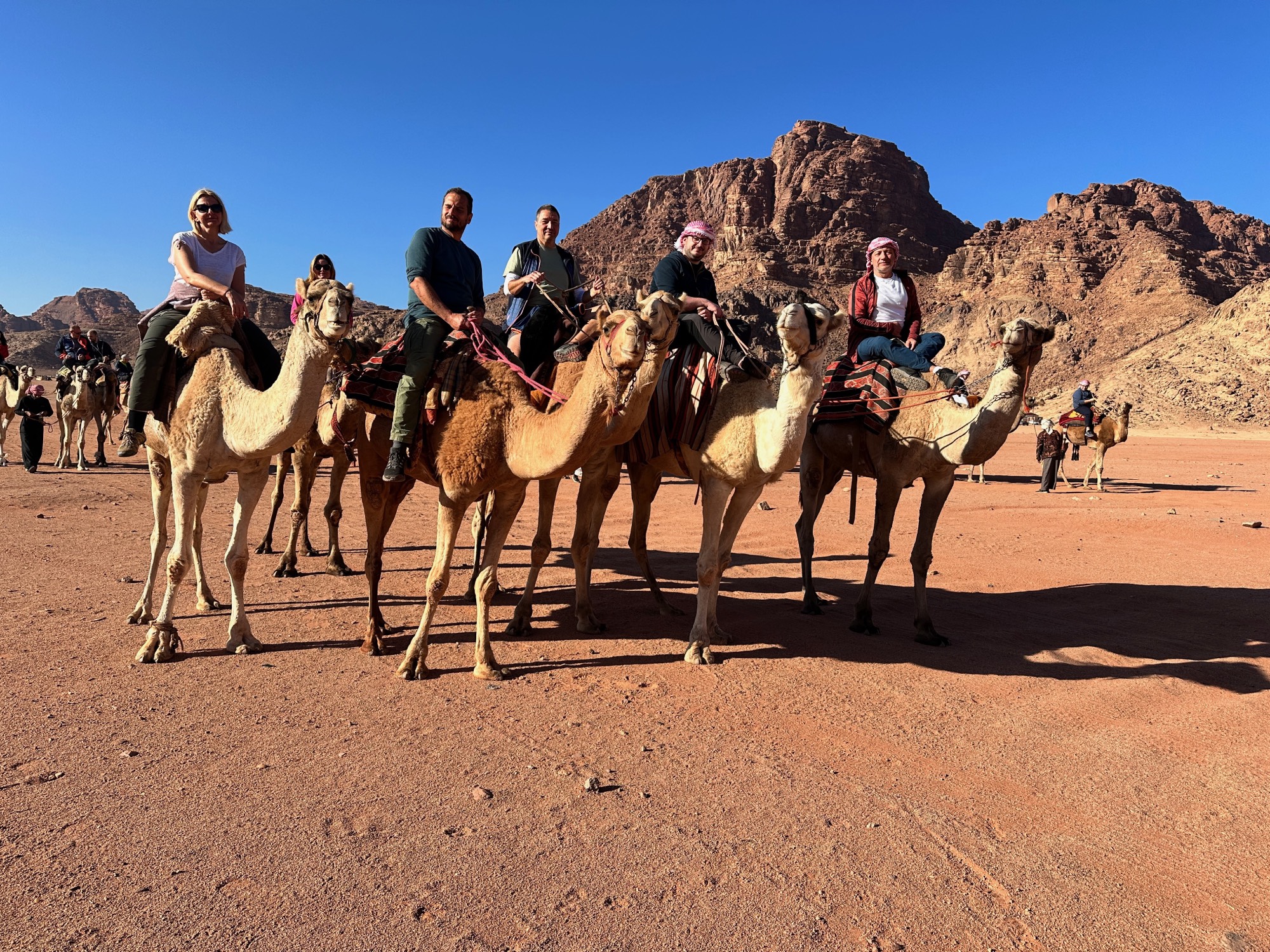 Wadi Rum Camel Experiences