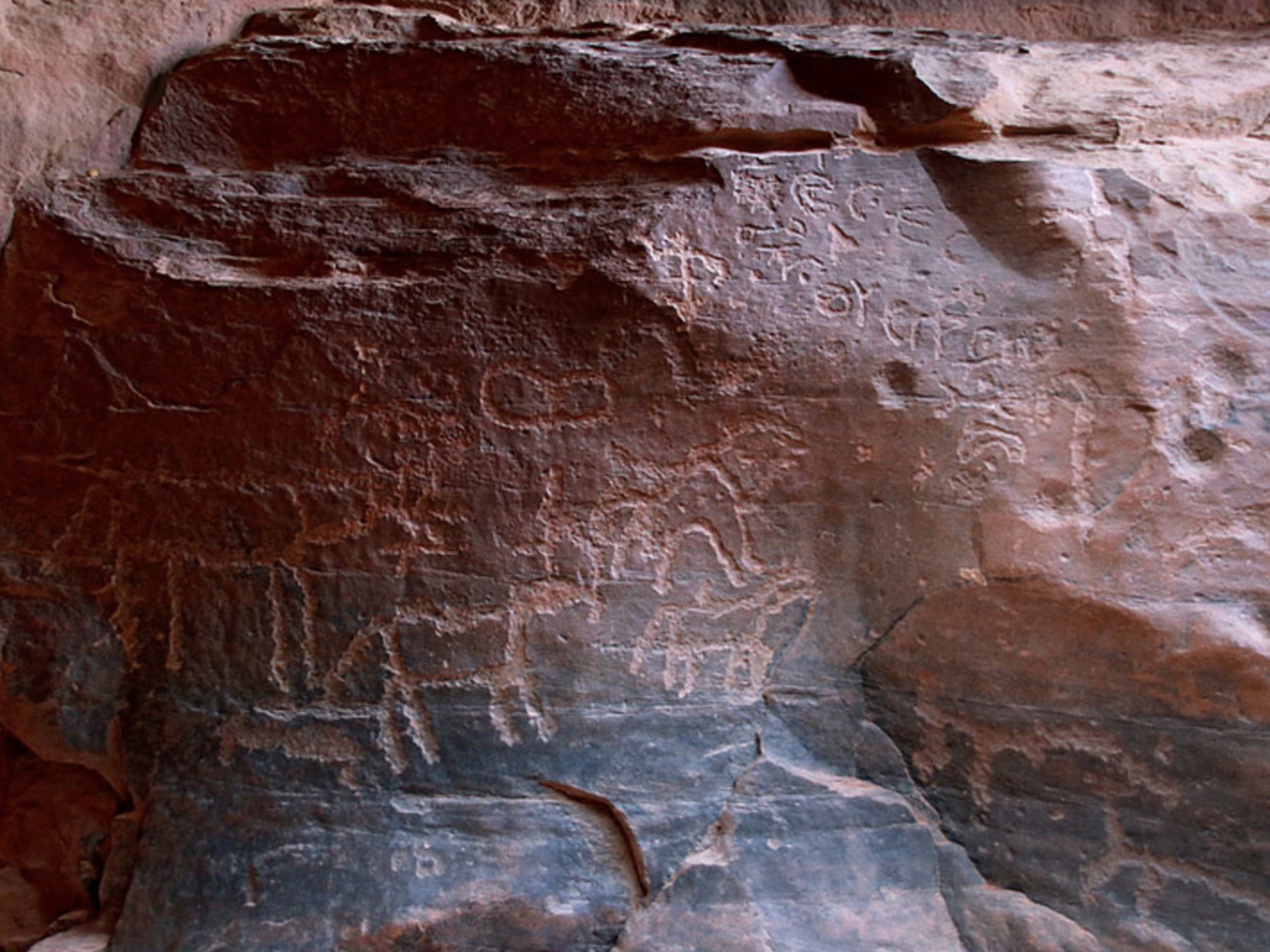 Petroglyph Tours